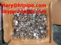 Incoloy 800 Bolt Nut Washer