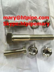 Incoloy 800 HT UNS N08811 1. 4959 Bolt Nut Washer
